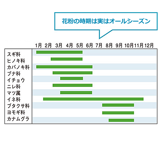 花粉の時期は実はオールシーズン